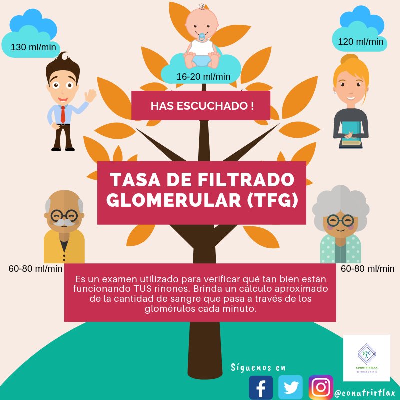MiguelMezaNutri's tweet photo. La TFG es un examen que refleja el grado de funcionamiento de los riñones. Brinda un calculo aproximado de la cantidad de sangre que pasa a través de los glomérulos cada minuto. 👨🏽⚕️ 👨🏽💻🥗🍐🍓🍏#conutrirtlax #nutricionrenal #dieta #proteína #riñón #ERC #glomerulos #TFG https://t.co/um8fcH86ZK
