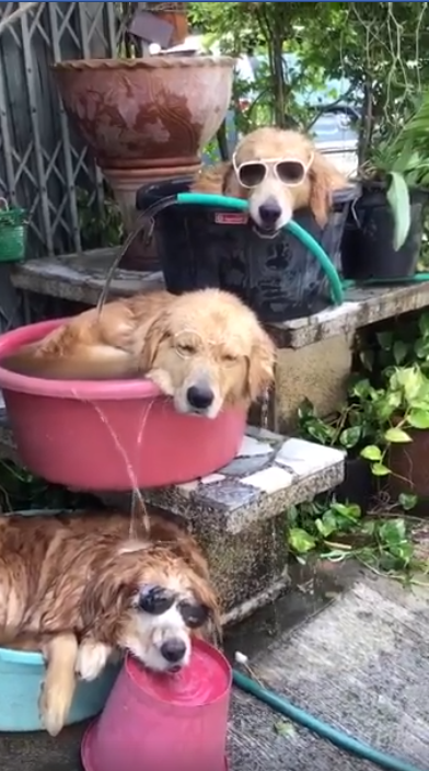 StrabiLina's tweet photo. 🤣 https://t.co/Xolt9zU2lb