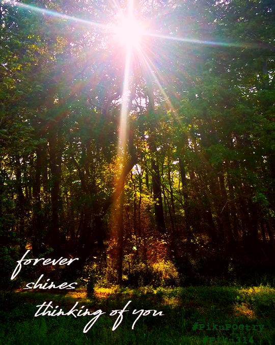 piku_poetry_314's tweet photo. 🥧
.
forever
shines
thinking of you
.
#BeautifulMess #prompt #thinkingofyou #PikuPoetry #Piku314 #PikuVerse #BeatPoetry #tinypoem #8syllables #VoMoPo #Binkstuff #JustDelmarvalous #shahai314 #haiku #haiga #senryu #shahai #piehai #wordplay #pie #pi #shortverse #poetry #tinyverse https://t.co/wIhU25gqkd