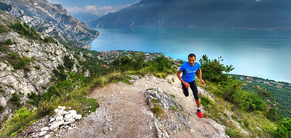 Palco23: << Ternua acelera la expansión internacional de Lorpen con nuevo socios en EEUU y Alemania dlvr.it/R6LMHz >>