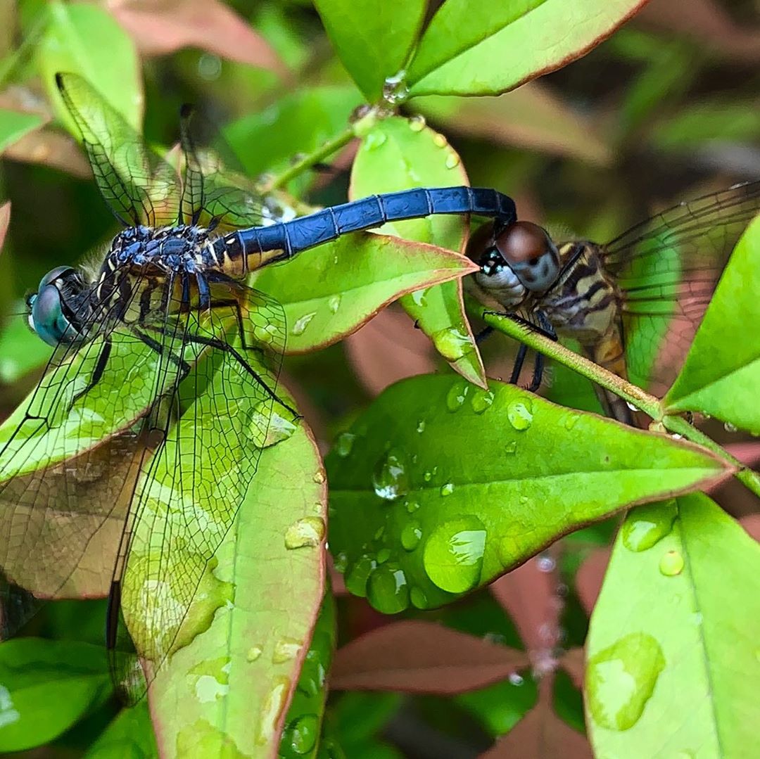 RichardThreadg8's tweet image. Morning Nature allowed me to capture a great shot this morning.