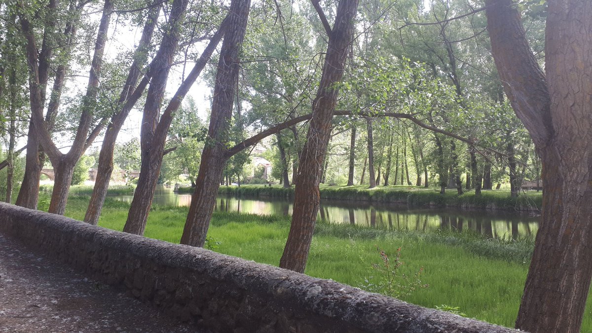 pedrolruiz's tweet photo. Que agradables son estas mañanas de junio para pasear por #Soria invita a la #reflexion #calma #relax Por cierto, enhorabuena @Ayto_Soria por cómo están conservados los márgenes del Duero, El Castillo, San Prudencio, etc. @Soriaestademoda @sorianitelaimag @SoriaYa https://t.co/5AX603EFIh