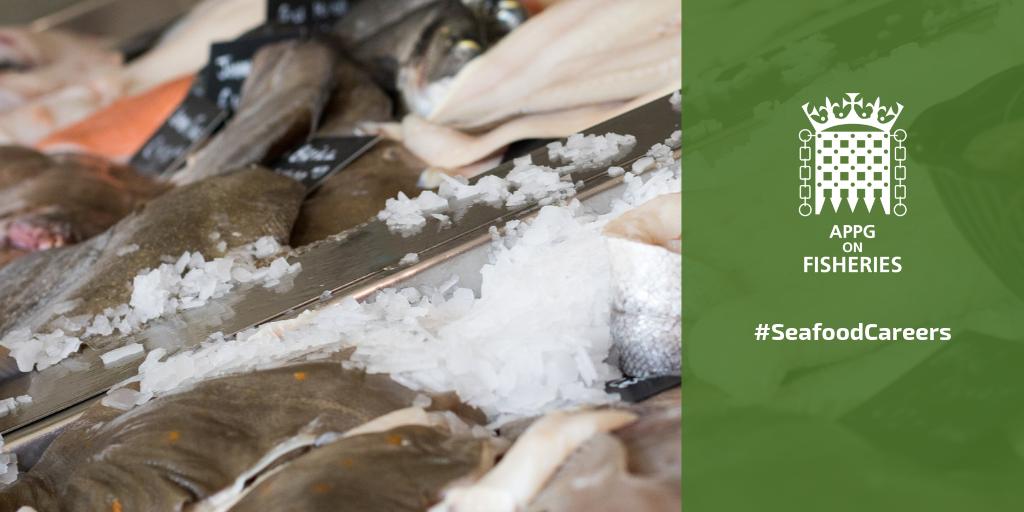 fisheriesappg's tweet photo. Rob Wing of @wingofstmawes is speaking at our #SeafoodCareers event today. He represents small-scale processing and #fishmongering industries, and is talking about the importance of ensuring #career progression and variety in small businesses. https://t.co/cMDNOngNwy