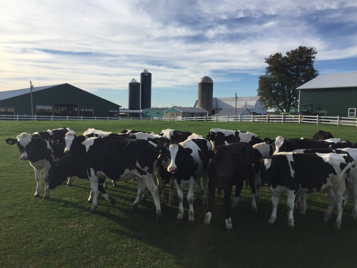 fultonbotf's tweet photo. Are you ready for @fultonbotf Saturday, June 15? 🌧 or ☀️, join us at #HenricksKriegerDairy, 9 am - 1 pm. Breakfast served until Noon. You’ll be able to see tractors & a combine, cows & more!
https://t.co/fDEUJQ2exS
#FultonBOTF #FultonFarmersCare #FultonForward https://t.co/wAp6Xe5IMq