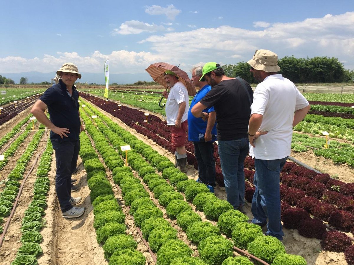 Ready for tomorrow... Lettuce Event Greece 2019 <a href="/RijkZwaan/">Rijk Zwaan</a> <a href="/DTsiatouras/">Diamantis Tsiatouras</a> <a href="/geotitros/">Pavlos Pavlidis</a> <a href="/StarakisAlex/">Alex Starakis</a> <a href="/A_Vezyroglou/">Antonis Vezyroglou</a> <a href="/VezyroglouFarm/">Vezyroglou Farm</a> <a href="/ElsaTyrekidou/">Elissavet Tirekidou</a>
