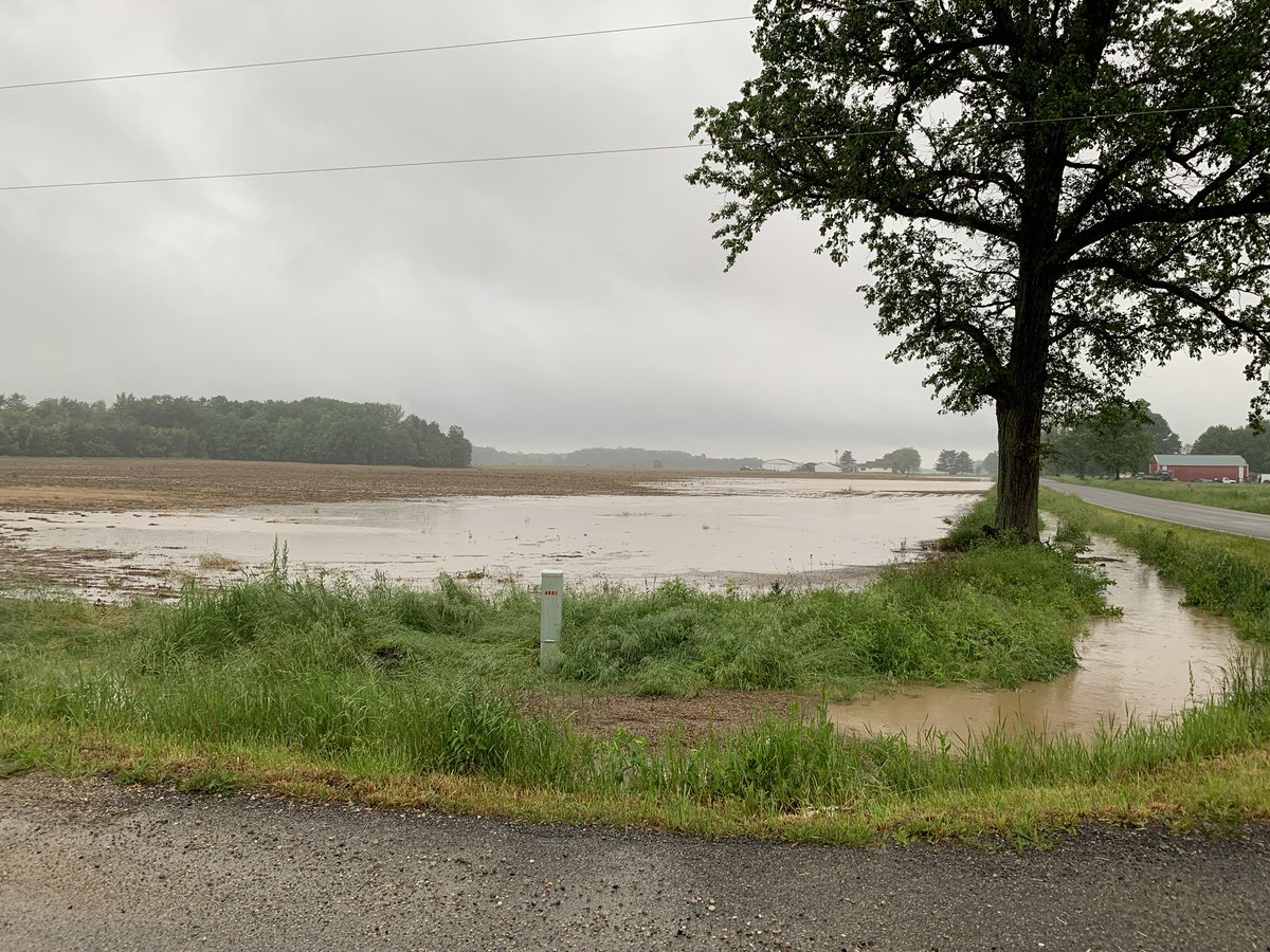 PickleSeniorPro's tweet image. Prayers for our Michigan farmers!  Enough with this rain and flooding!  #GoAwayRain #MichiganProblems ☔️