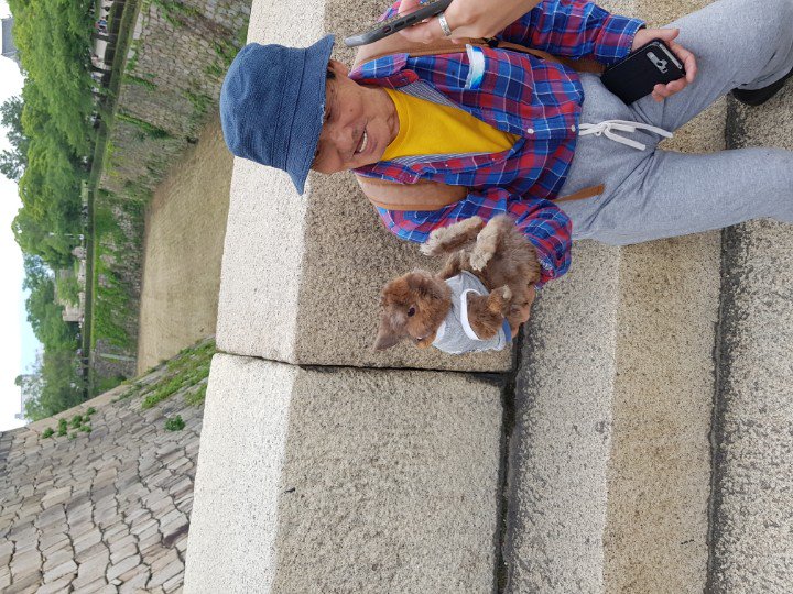 TheFragman's tweet image. For those with the Monday blues, here is a picture of a rabbit in a shirt.