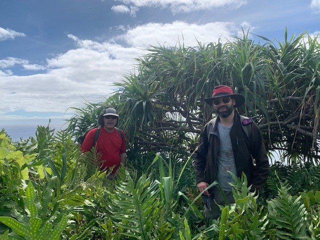 Toughsheet Building Products tweet media