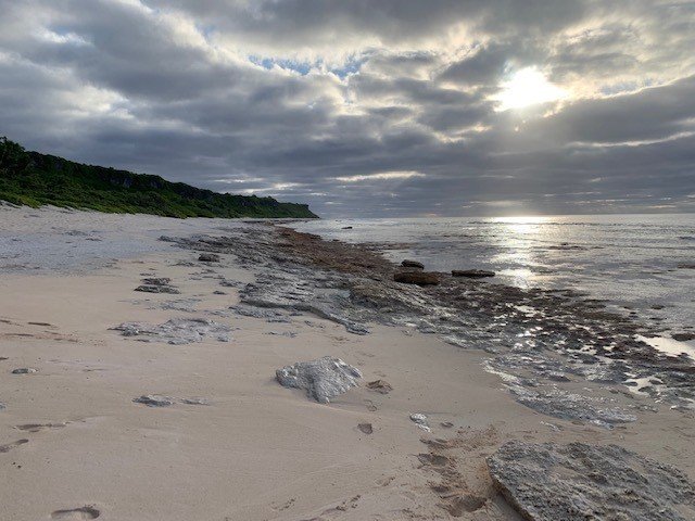 Toughsheet Building Products tweet media