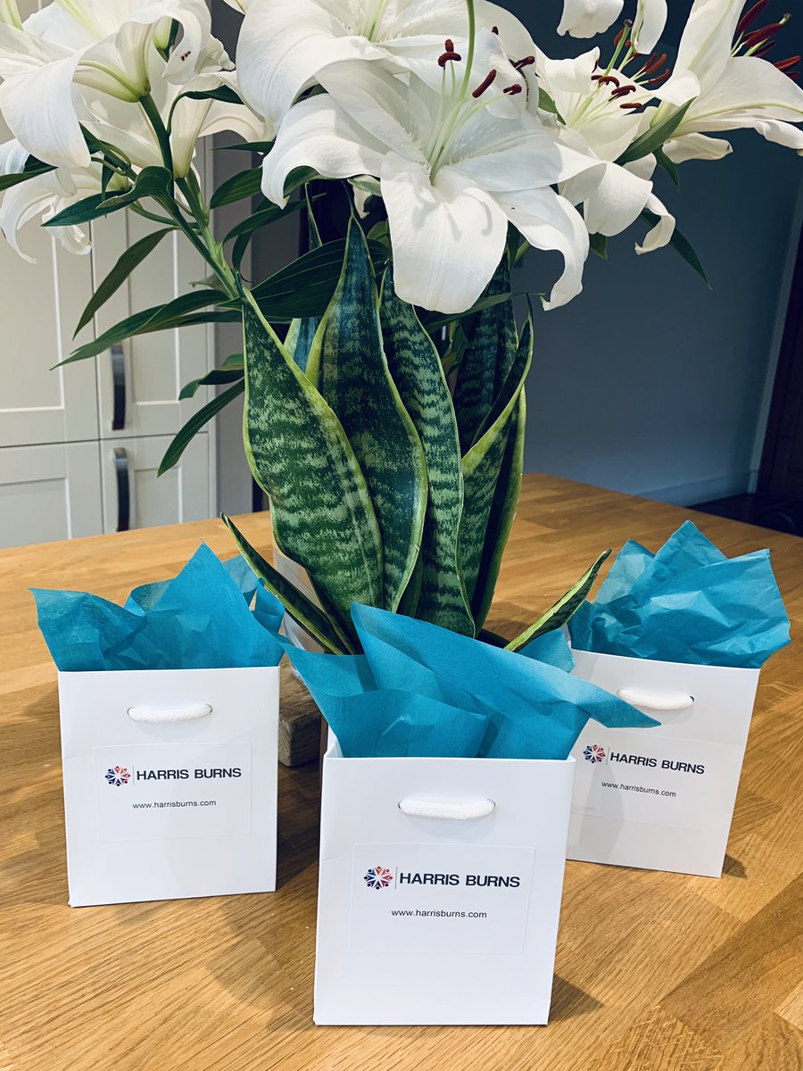 HeatherIansonAQ's tweet photo. Getting organised for #WMAC19 on Thursday. The @HarrisBurnsLtd team are laughing at my inability to fold tissue paper artistically https://t.co/nT8d80f1FU