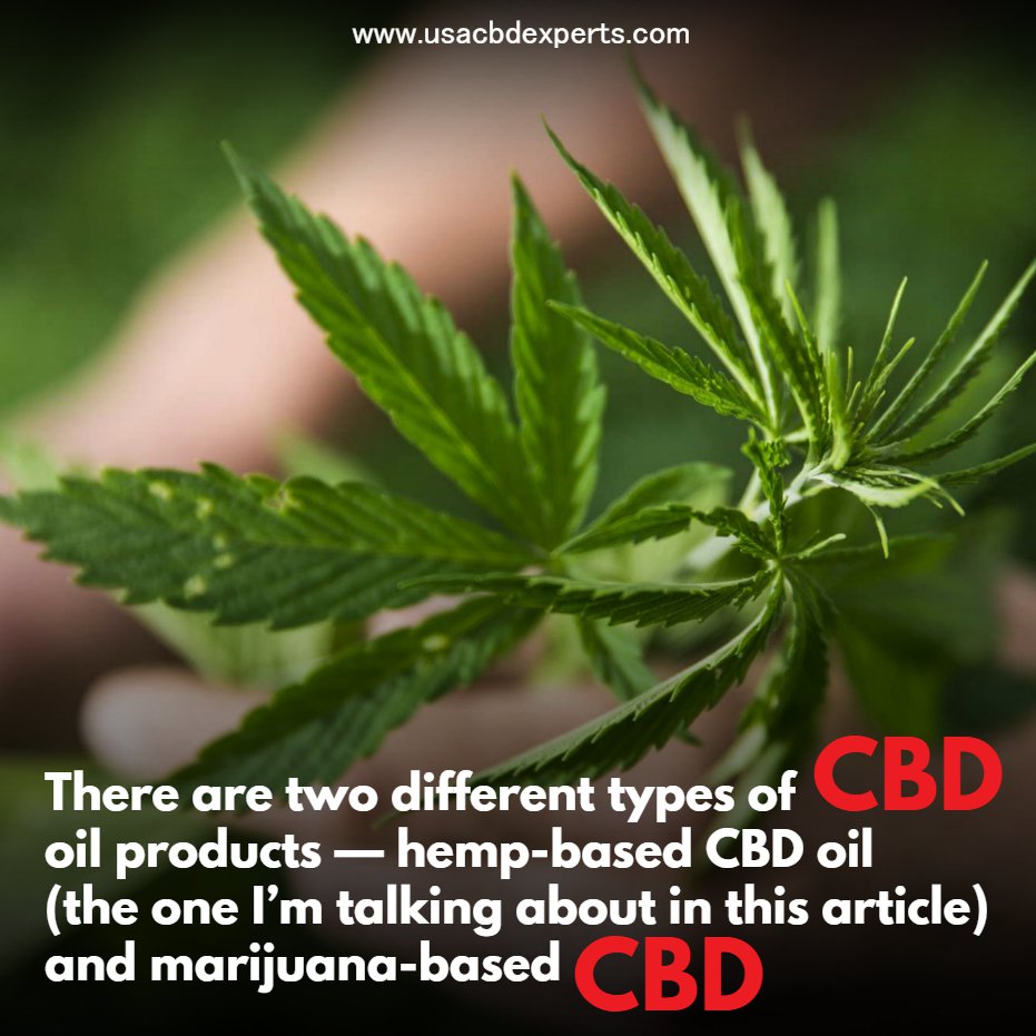 experts_cbd's tweet photo. There are two different types of CBD oil products — hemp-based CBD oil (the one I’m talking about in this article) and marijuana-based CBD.

#usacbd #cbd #cannabis #hemp #hightimes #cbdvape #dabs #cbdheals #life #dank #organic #cbdcommunity #natural #healthandwellness https://t.co/nt4gs5APv9