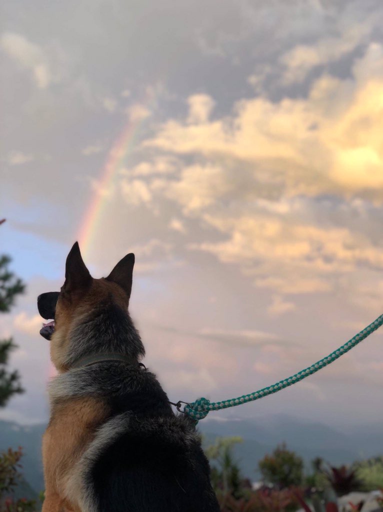 23 and fruity tweet media