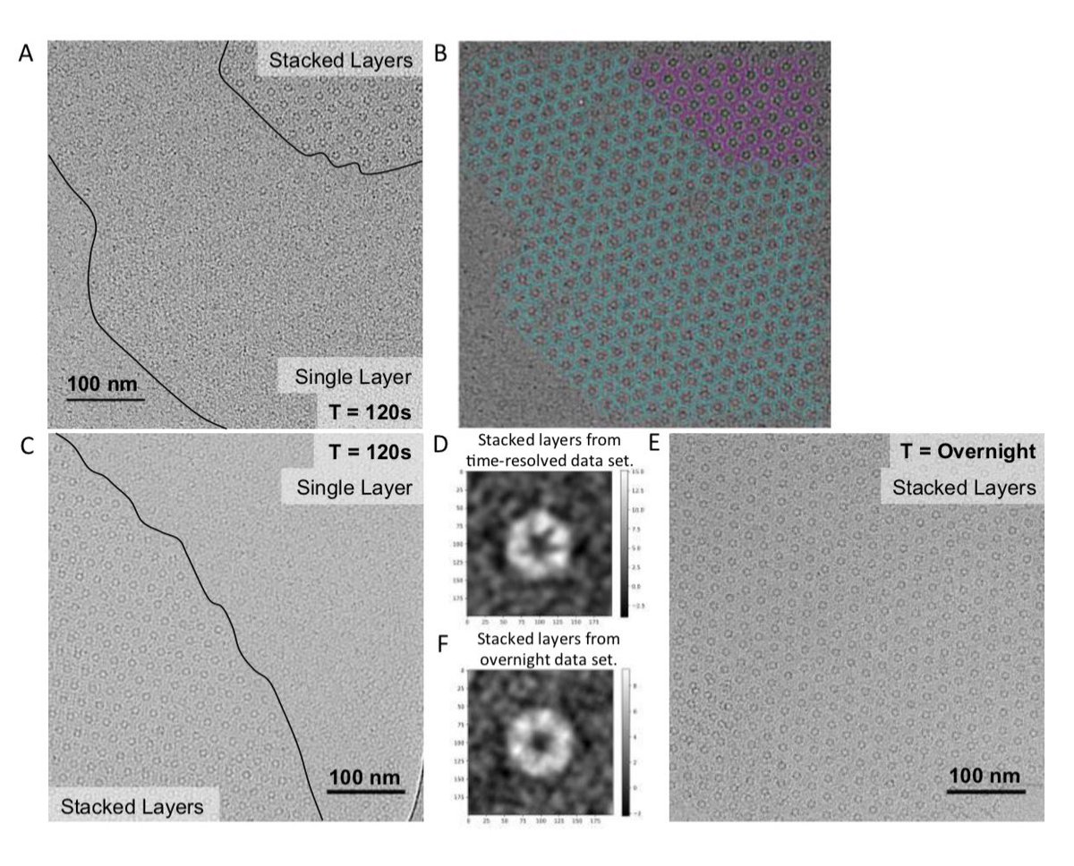 Druse Labs T Co Qcwjp3uaic A Bacterial Surface Layer Protein Exploits Multi Step Crystallization For Rapid Self Assembly By Jonathan Herrmann Po Nan Li Fatemeh Jabbarpour Anson Chan Ivan Rajkovic Tsutomu Matsui Lucy Shapiro John