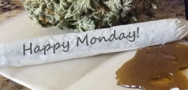 Crypto_KeeperX's tweet photo. Happy #Monday Twitter!
Have you had a chance to check out https://t.co/dASgWRusoD?
They offer 50 different strain specific #terpenes to help make any day better..even #Mondays.
#terpintime #terpenes #CannabisCommunity #CBD #Hemp #concentrates https://t.co/NmKV2g79GO