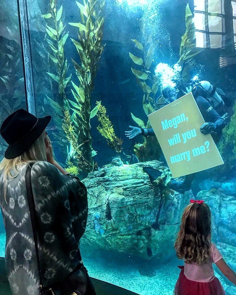 OCMagazines's tweet image. Diving into this week like this! 🧡 We’re sharing the love (and sweet tip) that Aquarium of the Pacific offers creative proposals! What a sweet way to brighten your Monday mood? For more information go to: pacific.to/aopproposals or their link in bio. 🧜🏽‍♂️
.
.
📷 @ingridmariebg