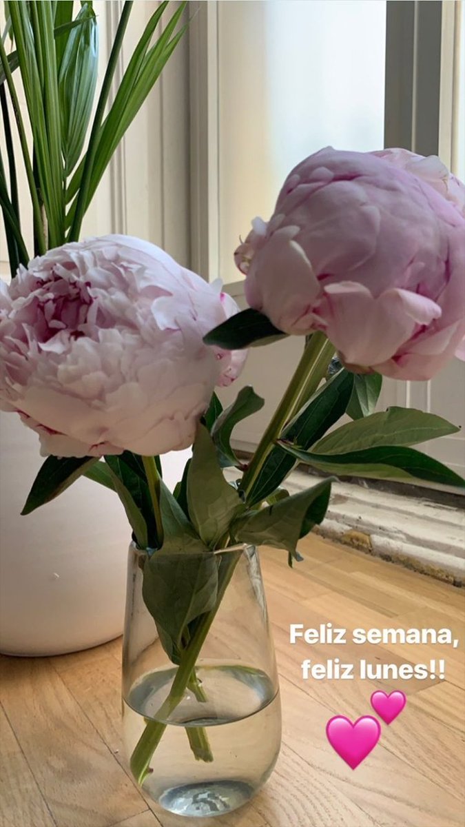 Ana García on Twitter: Ana García on Twitter: