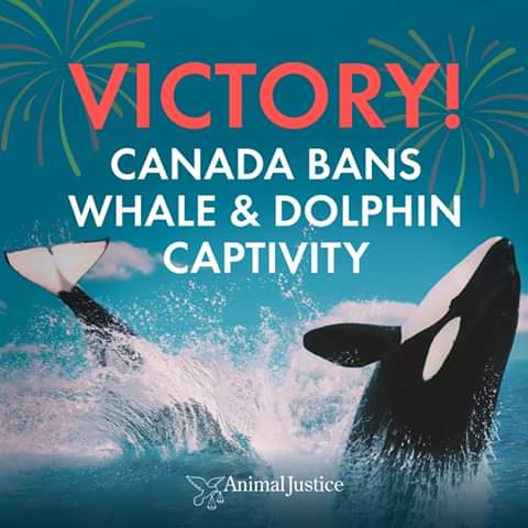 Matt Wiley (@mattwiley14) on Twitter photo 