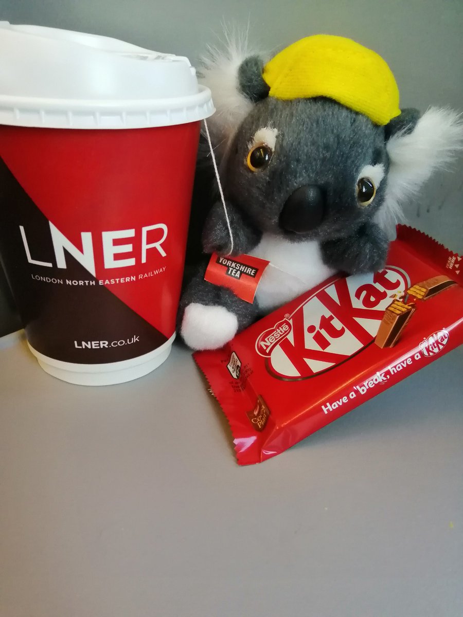 NuggetJo's tweet photo. #KeithsQuest for eucalyptus continues. Convinced him a @KITKAT and a nice @YorkshireTea is the next best thing. He seems happy for now. https://t.co/aX37c3etI9
