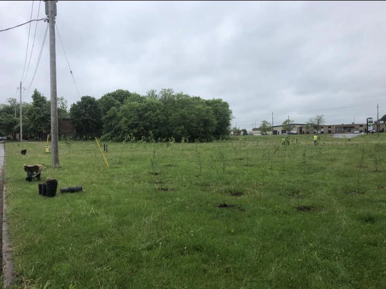 orafora's tweet photo. @cityofbarrie @CTVBarrieNews @Barrie360 poor job at Brock park. My children and I would play in this field. How do you plan on cutting the grass. The forest area already was littered with needles and garbage. So disappointed. https://t.co/Ze4TwB9SK5