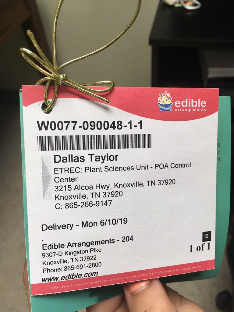 turfgirl24's tweet photo. Sweet new office set up for @UTdallasgrass and I. Pretty sure our office name that began as a joke is officially official due to a celebratory Edible Arrangements delivery to the Poa Control Center https://t.co/9NQMONxlzu