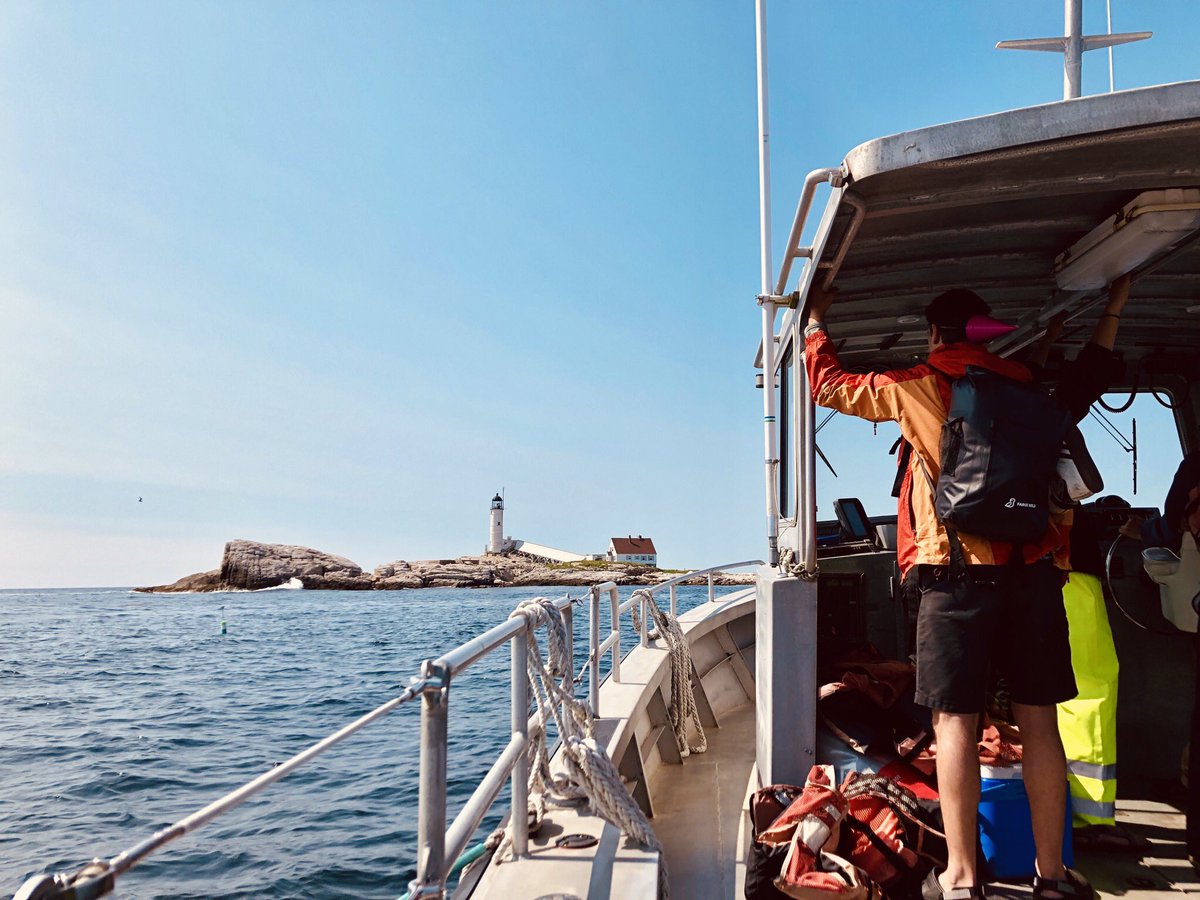 Ben DeMoras tweet media