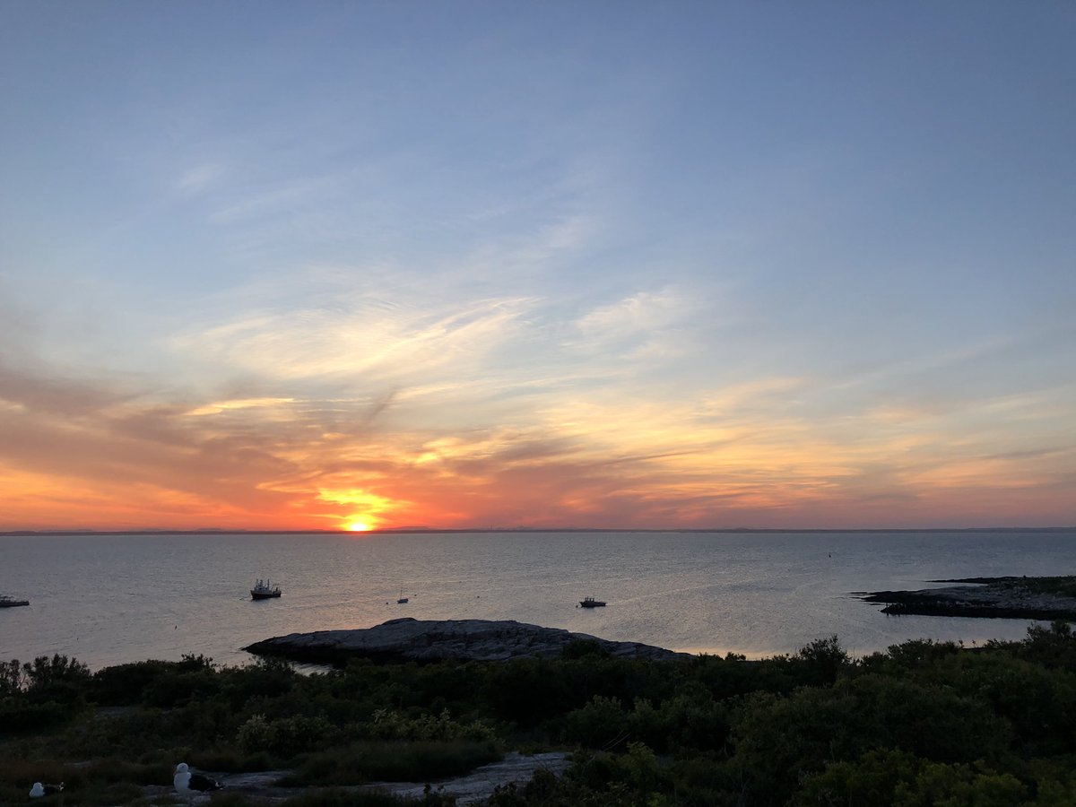 Ben DeMoras tweet media