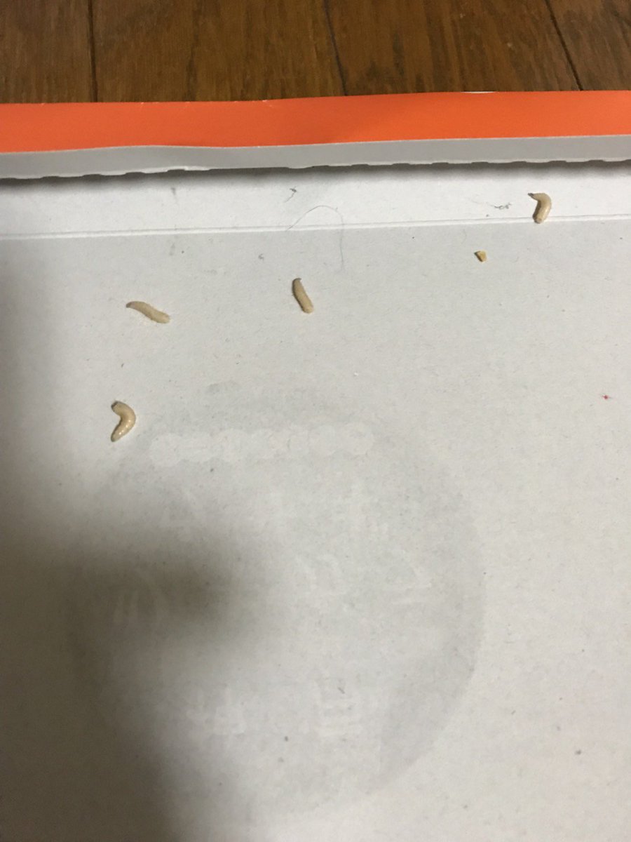 ট ইট র たすく 家の中にたくさんいました 1センチくらいです とても気持ち悪いんですが なんの幼虫か分かりませんか 教えて虫の人