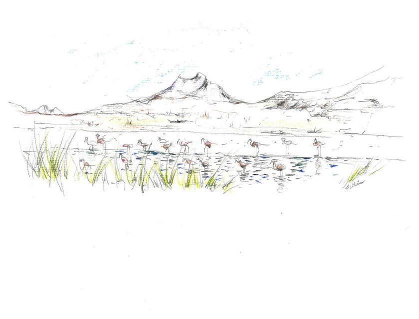 Stephanie Marin tweet media