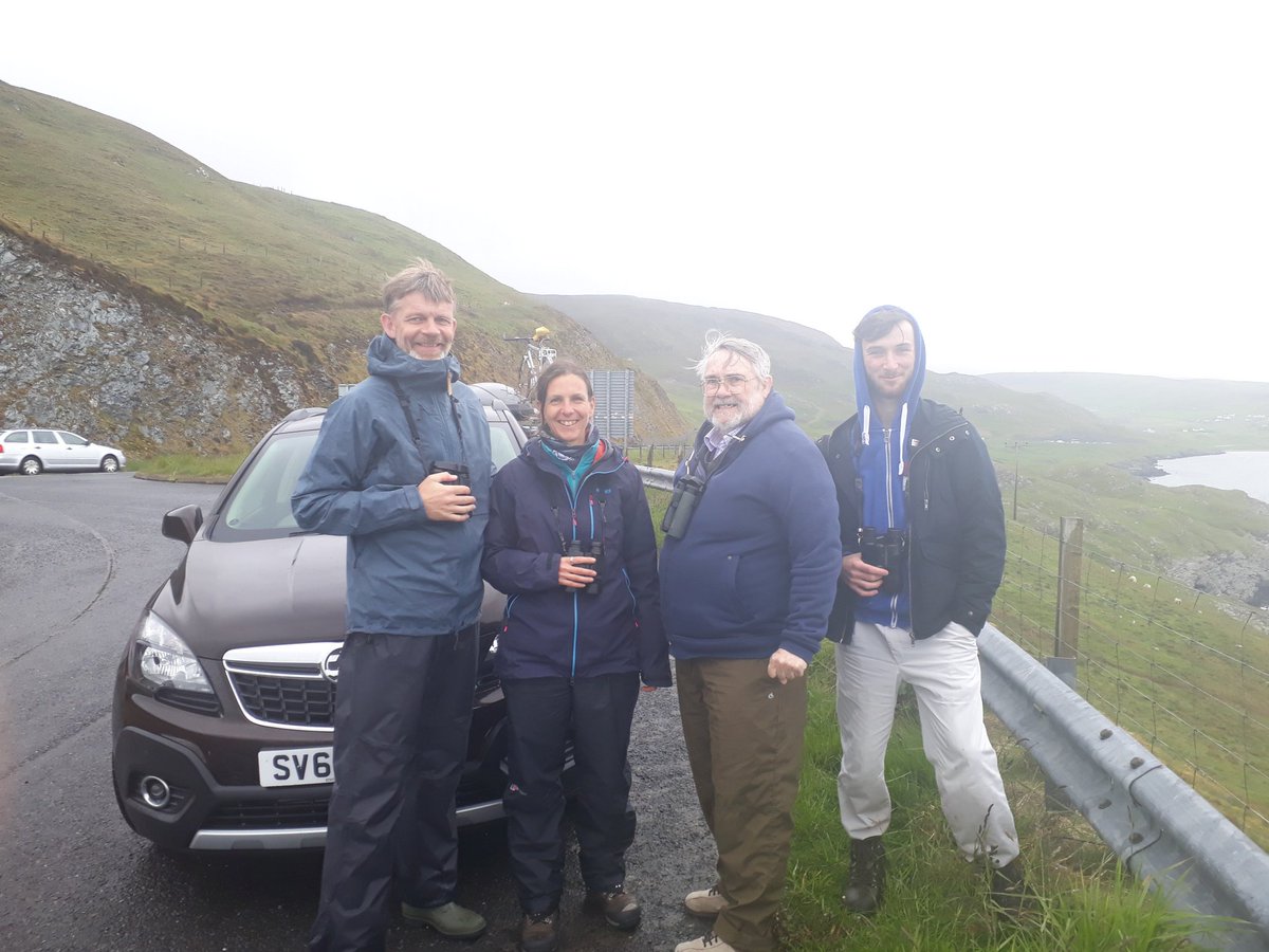 JNCC_UKseabirds's tweet photo. Last week Sue O’Brien was in #Shetland helping to catch red-throated divers, tagged last year as part of the Red-throated Diver Energetics Project. 
She was joined by Jesper Kyed Larsen of Vattenfall (one of the project funders), David Okill and Logan Johnson.
#DiverEnergetics https://t.co/EgKcuIncJF