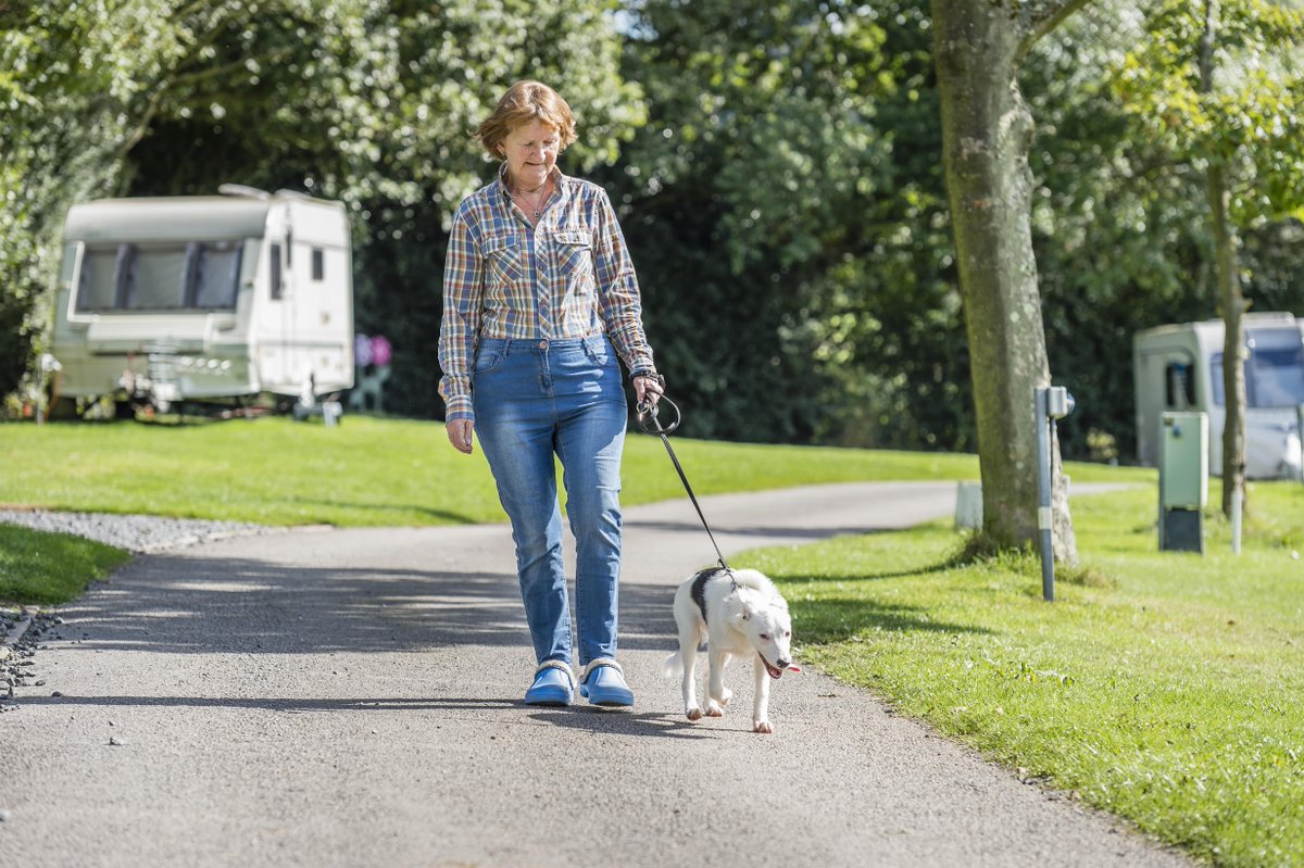 CampAndCaravan's tweet photo. We love to see your pets enjoying our Club Sites. Share a snap using #PetsCamp https://t.co/G1ekAC8d6q
