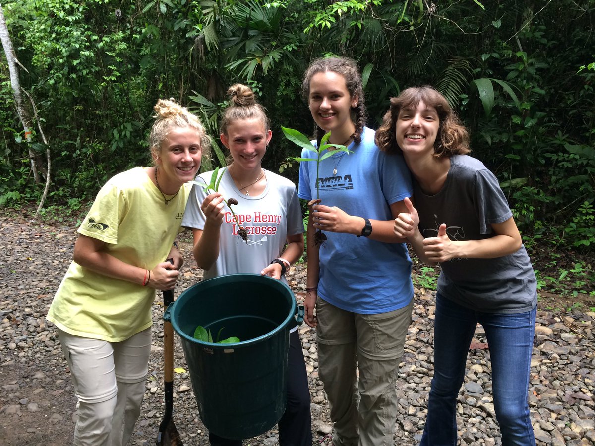CHCNexus's tweet photo. #CHCSTRI19 worked to prepare saplings to plant for National Reforestation Day 2019. https://t.co/7IRz9RivOc