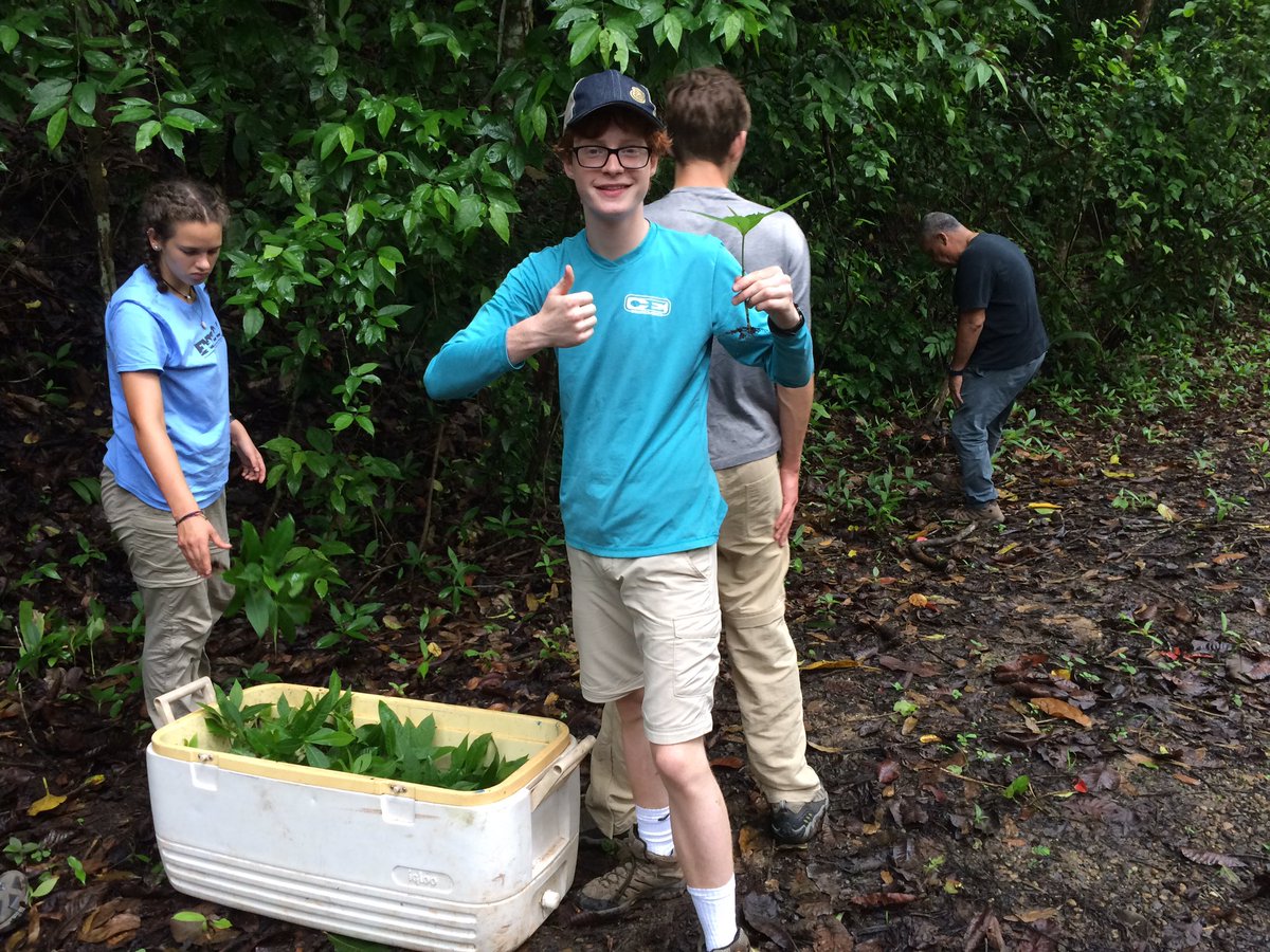 CHCNexus's tweet photo. #CHCSTRI19 worked to prepare saplings to plant for National Reforestation Day 2019. https://t.co/7IRz9RivOc