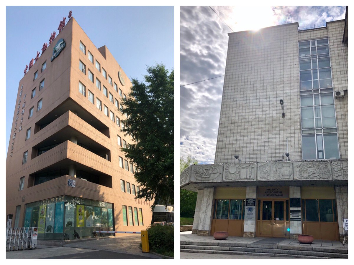 Katerina__Douka's tweet image. Spot the Denisovan bone! 2 weeks at the IVPP (Beijing) &amp;amp; @IAET_SBRAS__NAP (Novosibirsk), visiting great colleagues, giving talks &amp;amp; collecting samples. Check out the Tuul River from above &amp;amp; the massive Stegodon zdanskyi from Gansu #FINDER_project @ERC_Research