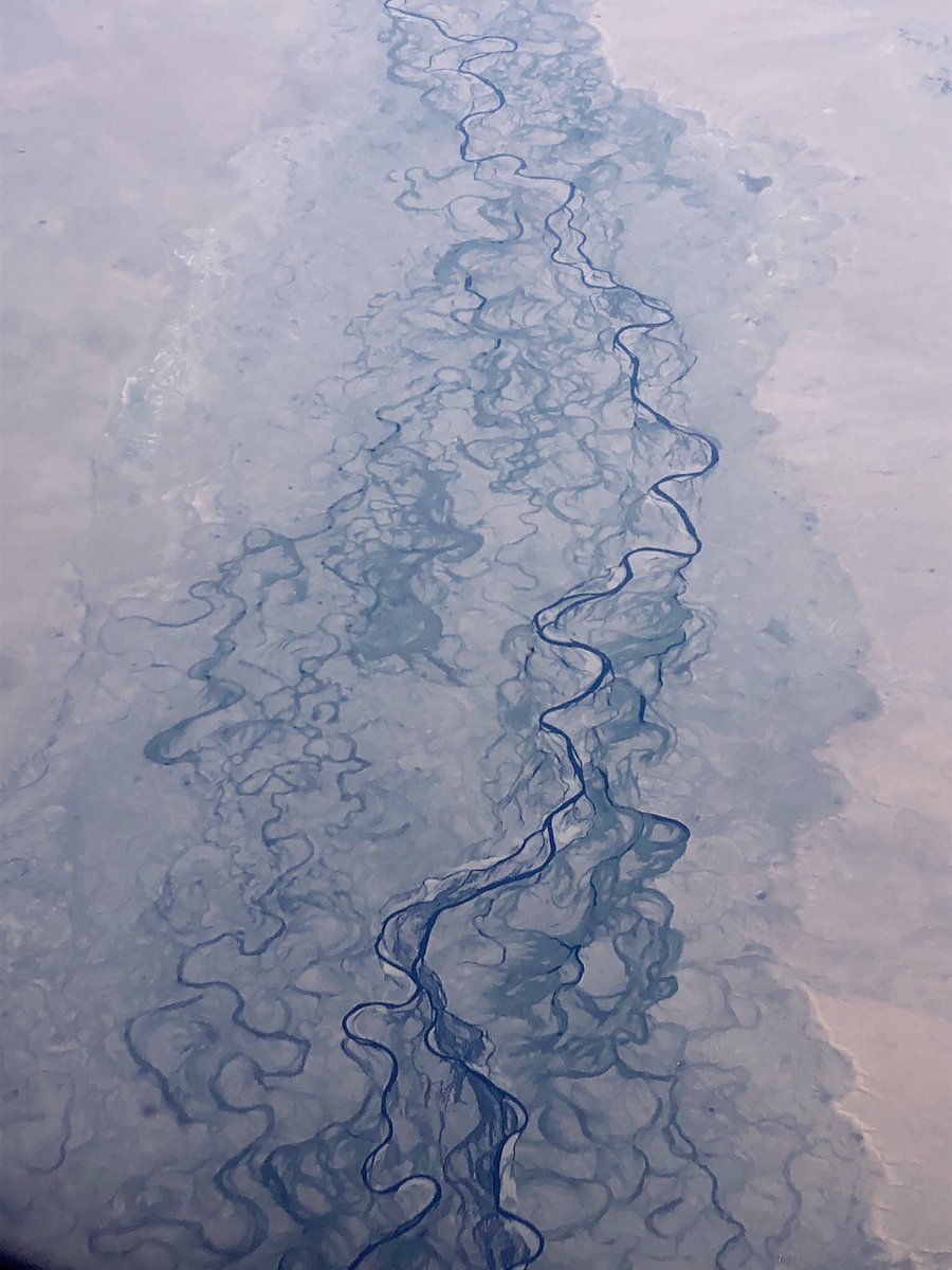 Katerina__Douka's tweet image. Spot the Denisovan bone! 2 weeks at the IVPP (Beijing) &amp;amp; @IAET_SBRAS__NAP (Novosibirsk), visiting great colleagues, giving talks &amp;amp; collecting samples. Check out the Tuul River from above &amp;amp; the massive Stegodon zdanskyi from Gansu #FINDER_project @ERC_Research