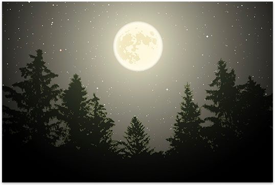 RayRobertsLake's tweet photo. Ever wonder what critters prowl the forest after dark? Join a ranger June 28th for a short talk about nocturnal wildlife, followed by a night hike to experience the wonders of the night firsthand.
Meet at Isle Du Bois Lost Pines Amphitheater @ 9PM https://t.co/6yDbHkpyJ2