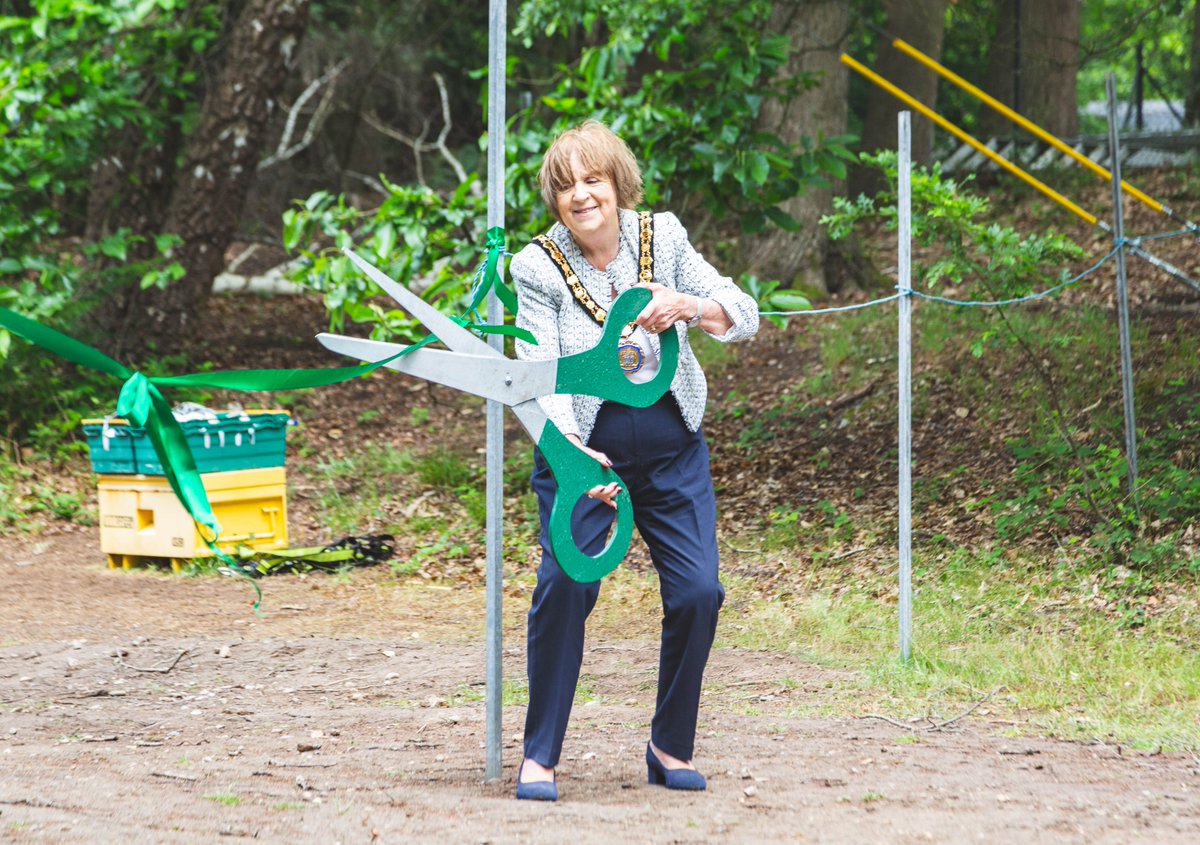 Walton Firs  tweet media