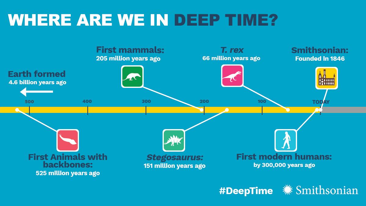 First Mammals On Earth Timeline