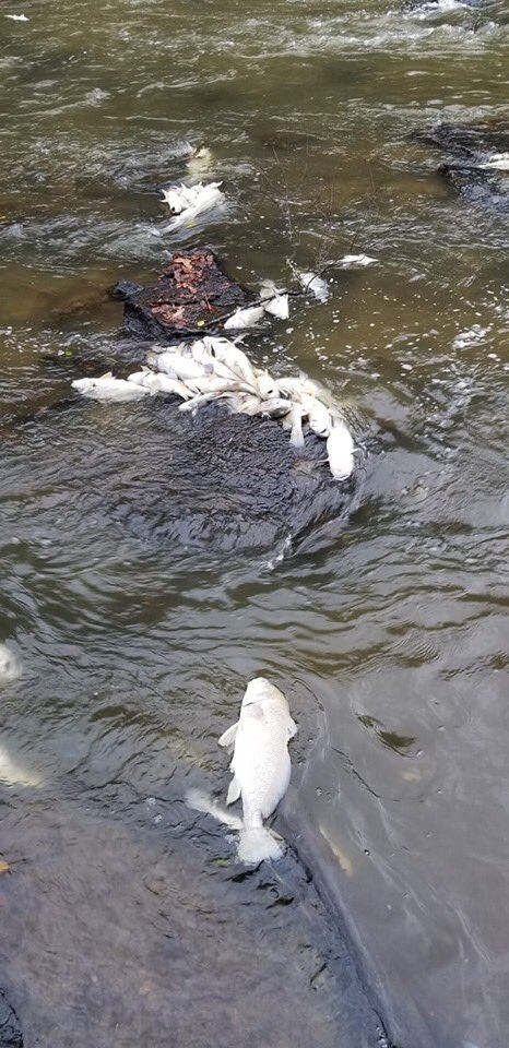 BWRiverkeeper tweet media
