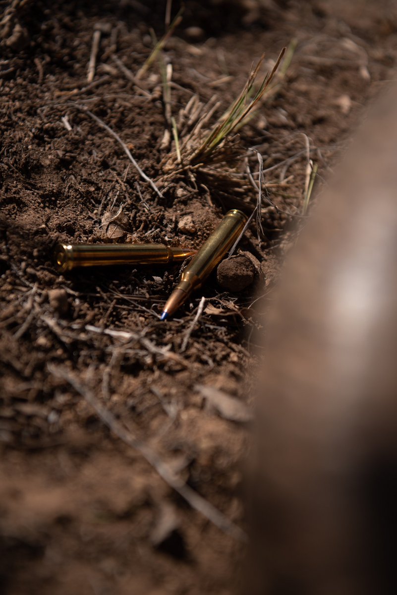 normaprecision's tweet image. Extreme accuracy and terminal performance at all distances.

#normaammo #normahunting #bondstrike