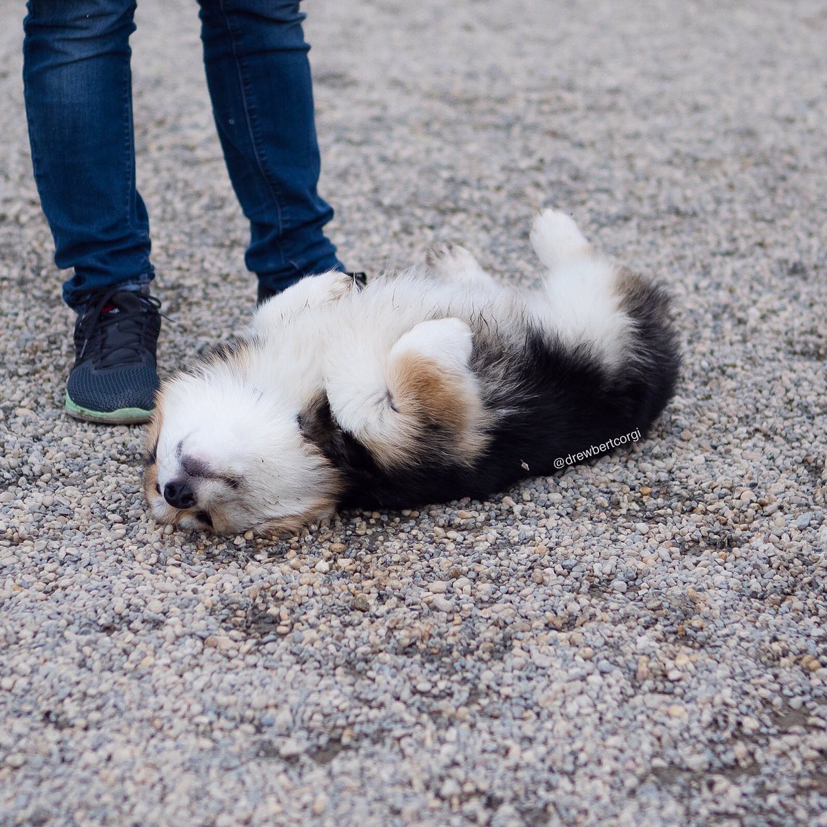 Potato.exe has stopped working.

Would you like to restart the program?
Y/N

#ItsMonaTime #ToCrash
