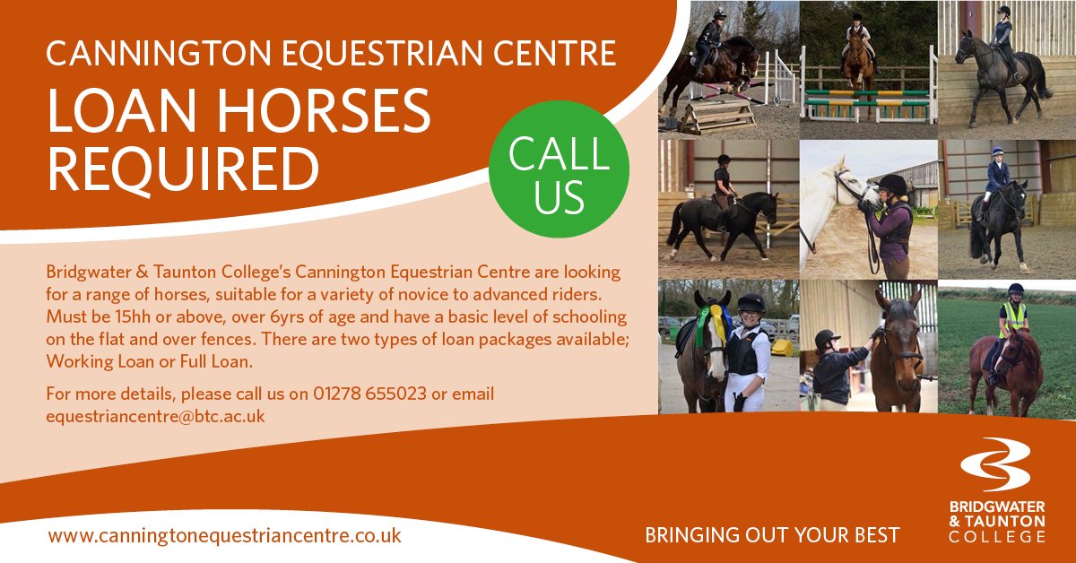 CannEquestrianC's tweet photo. We are looking for #loan horses! 
#equuinecentre #horses #loanhorses #studywithus #livery #partlivery #callus https://t.co/KOHApNx3x5