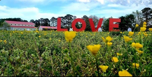 DMMHPNP's tweet photo. LOVEworks Around Virginia
#loveworks #virginia #virginiaisforlovers #communitystrong #photoop #welcomecenter #virginiasriverrealm #deltavillemaritimemuse #hollypointnaturepark #deltavilleva #nonprofit #history #travel #nature #adventure #destinations #love #smile #instalove https://t.co/CkKYKce2l5