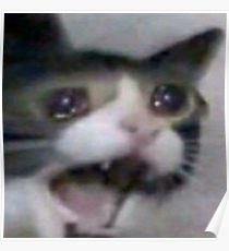 RxdEyedDragoon's tweet photo. When you’re starting a new game of Legend of Dragoon and see the foreshadow between Dart and Lavitz and they make it sweet but it’s actually a feel good trap— https://t.co/j77BVuKdex