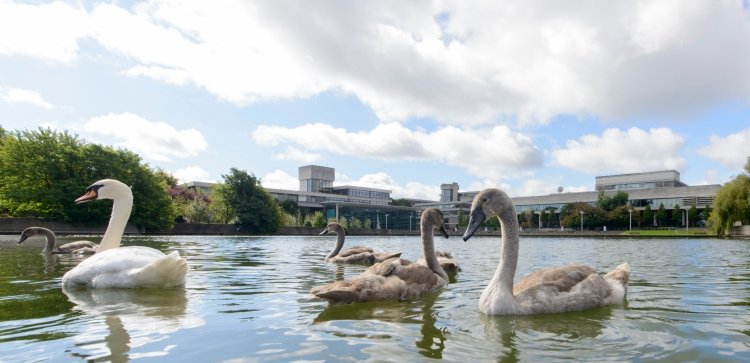 awpireland's tweet photo. Applications are now open for the UCD/Arts Council Creative Writing Fellowship 2019/2020! Deadline is the 31st of July.  More information can be found on UCD School of English, Drama and Film website: https://t.co/PjexKdUs3u https://t.co/slAJ9PP76Z