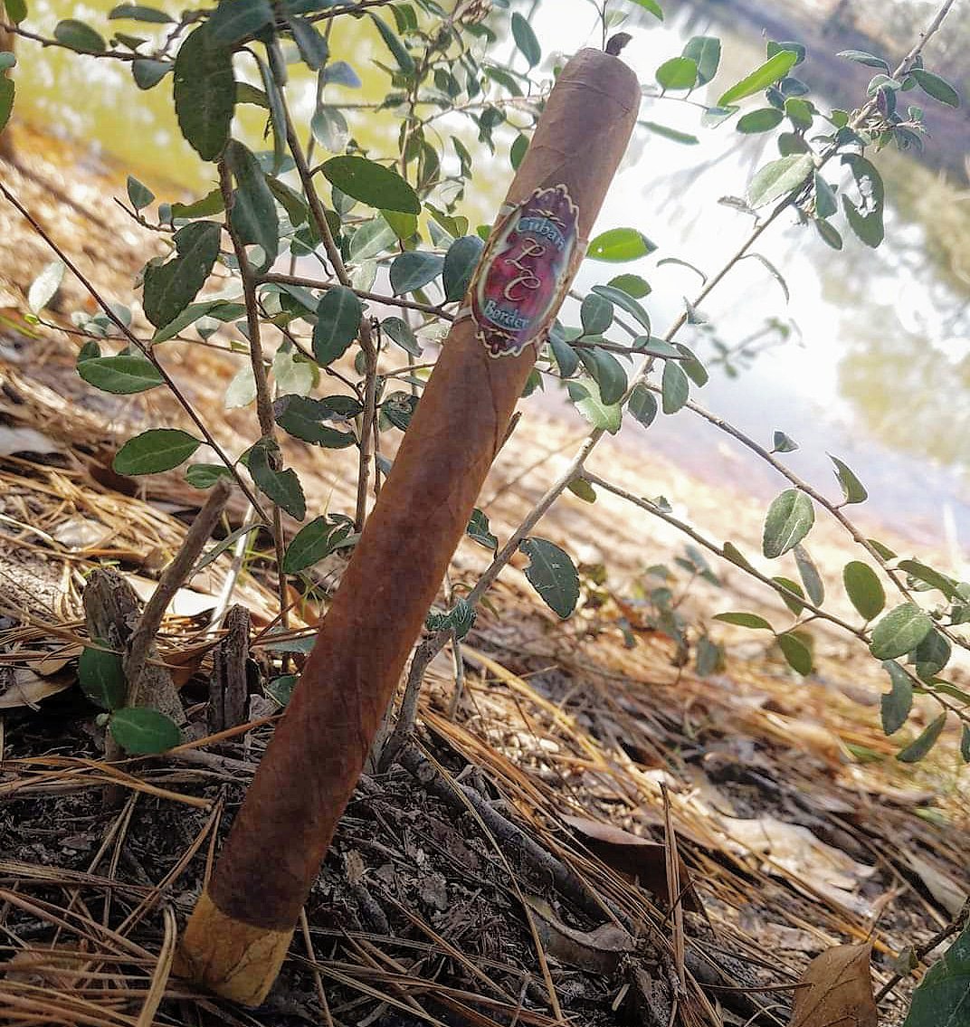 MartincdWfg's tweet photo. Beautiful picture from the #ChinoCochino Alex Chang. Capturing the natural beauty of the #CasaLovo #CubanBorder #ShaggyFoot #Panetela #CigarPorn #CigarLife #CigarLover #LovoLover https://t.co/tSMwuAouvz