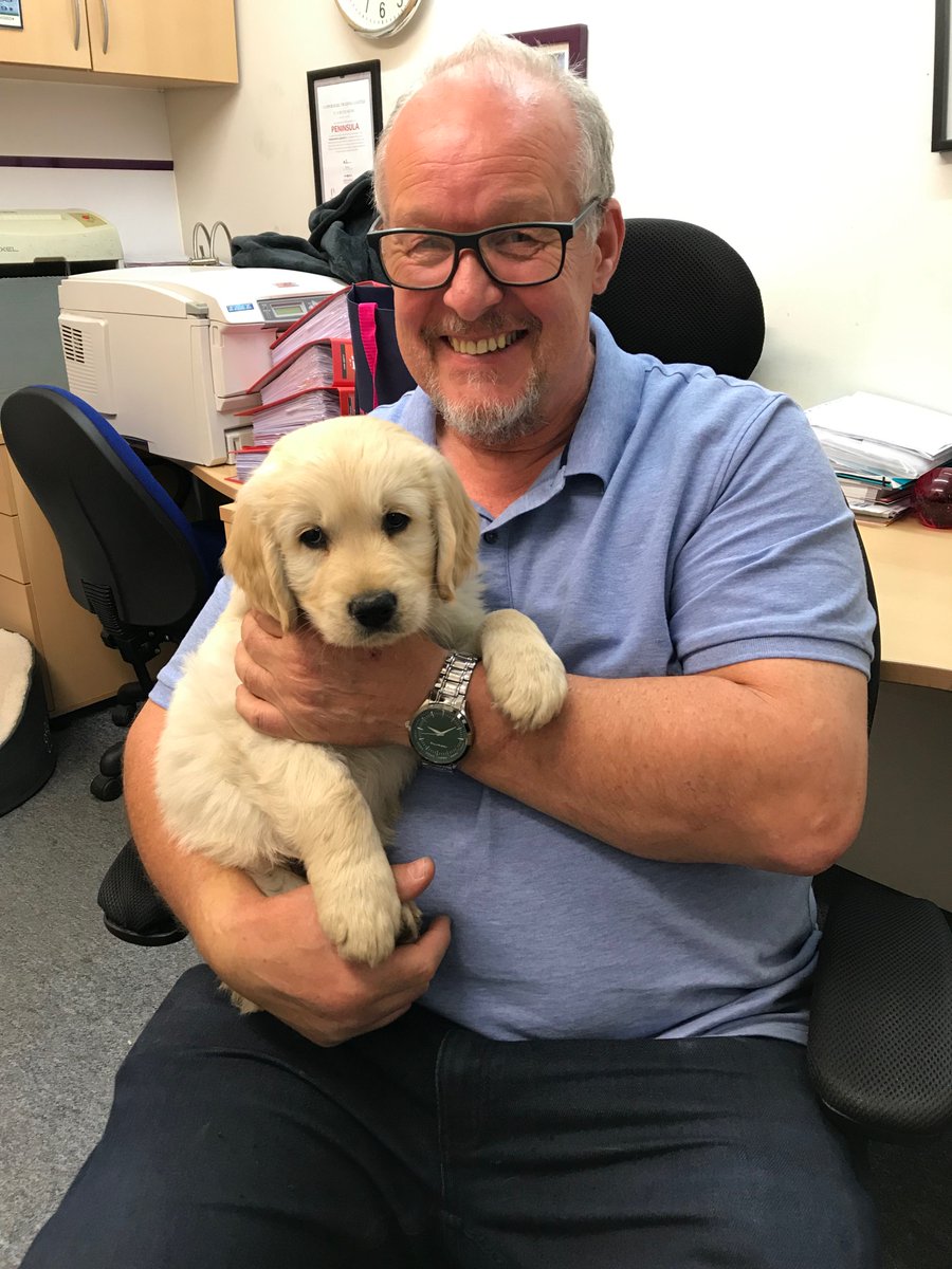 Everybody meet Hudson, Bath Sign's newest team member #officedog #goldenretriever #puppy #signmakerintraining