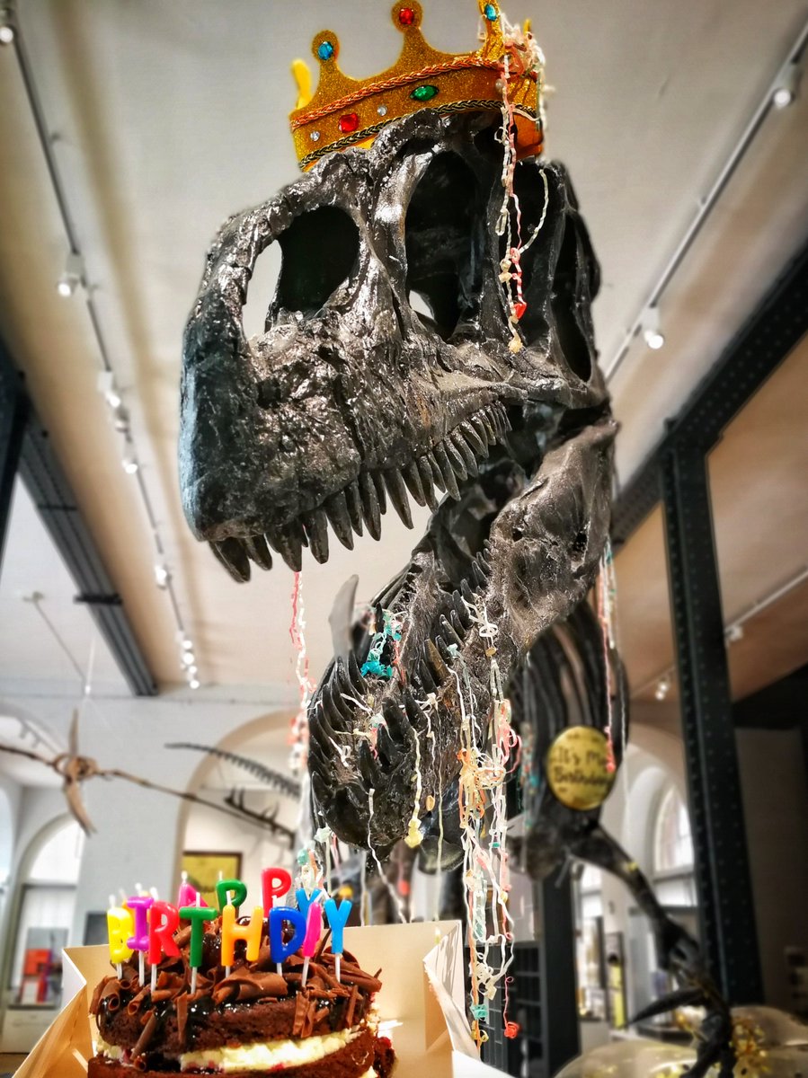 lapworthmuseum's tweet photo. Today is a very special day as it marks three amazing years since the Museum re-opened to the public! Happy Third Birthday #Roary! A HUGE thanks to everyone who has supported the Museum during this time! #LapworthRocks @ace_national @HeritageFundWM @unibirmingham @ace_midlands https://t.co/26OgJMgYPk