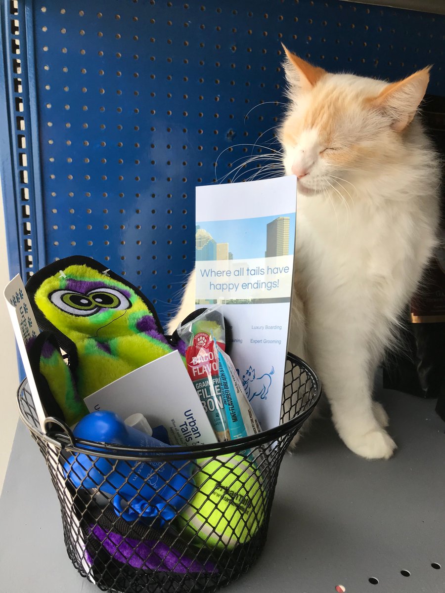 Join us at Houston TranStar on June 13th from 6 PM - 7:30 PM for our FREE Pet Preparedness event, SmartPAWZ! Enter our raffle for your chance to win a Pet Gift Basket courtesy of <a href="/urban_tails/">Urban Tails</a>  and much more! RSVP here: bit.ly/SmartPAWZ2019