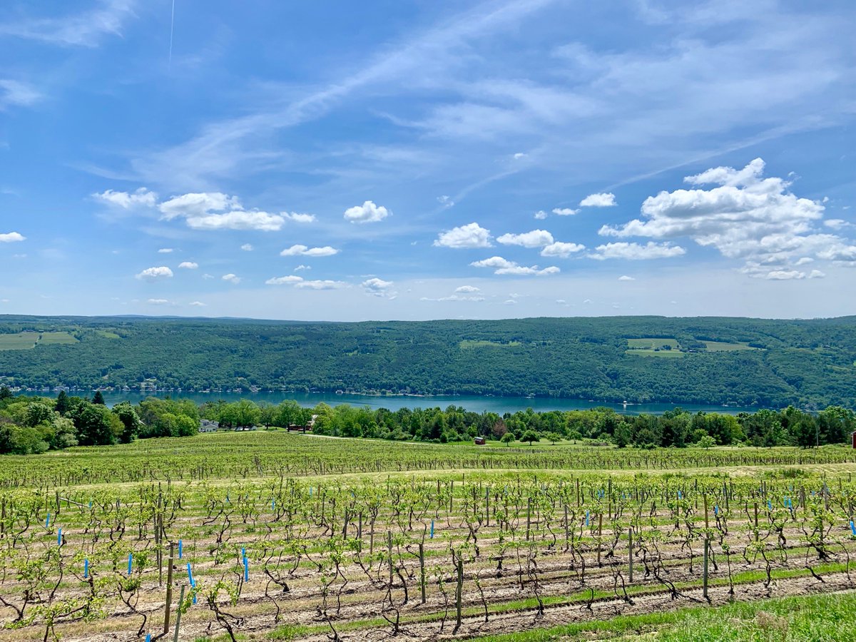 Gadoury Lab tweet media