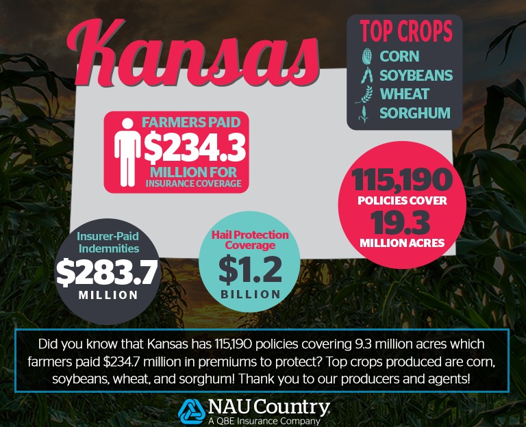 naucountry's tweet photo. State-by-State Farm Facts: Focus on Kansas
#Kansas #NationalCropInsuranceServices #NAUCountry #Farming #Insurance #Agriculture #QBENA https://t.co/zPNrVezv8d